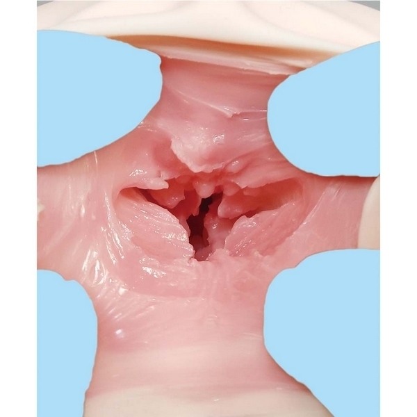 �ɏ㐶����@�X��肩�@�i�c�u�c�����j